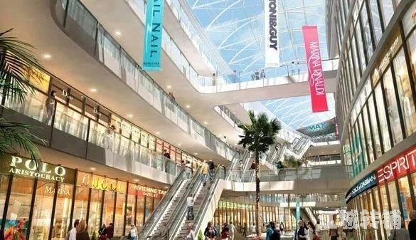 最近五年实体店的走向和发展趋势如何?