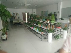 东方龙城秉心苑花店转让