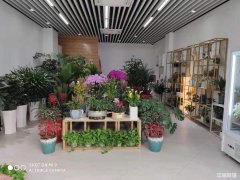 快慢里商业街主干道旁花店旺铺低价转让