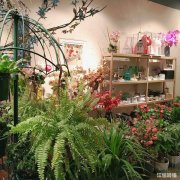 快慢里商业街主干道花店旺铺低价转让