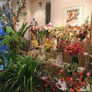 快慢里商业街主干道花店旺铺低价转让