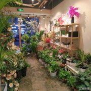 快慢里商业街主干道花店旺铺低价转让